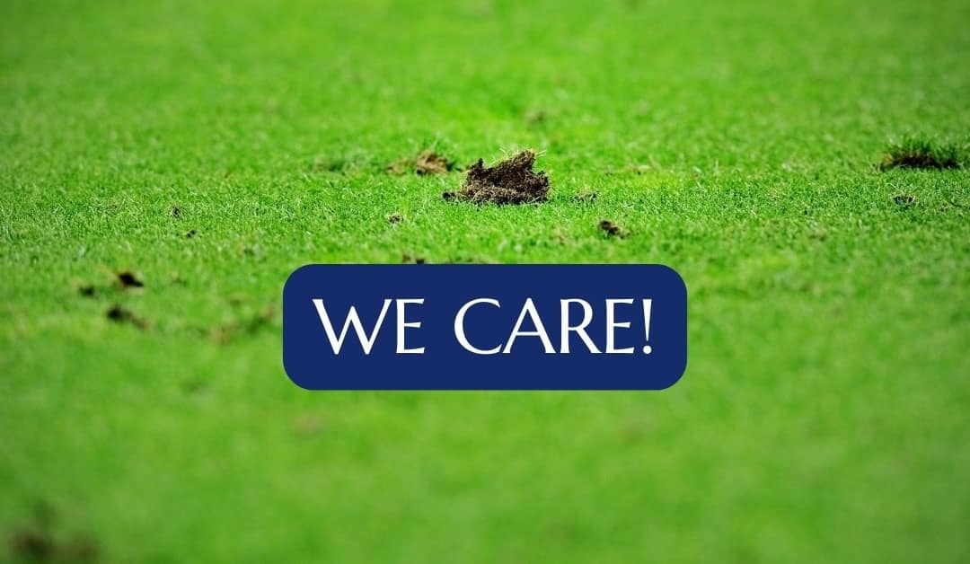 Innovative Ground Protection