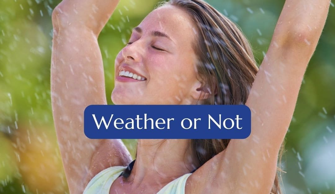 PURVIS MARQUEE HIRE - Weather or Not