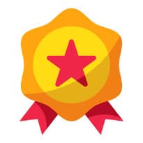 Quality Policy Icon 205 X 205