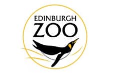 CUSTOM & BESPOKE 2 The Great Run Company